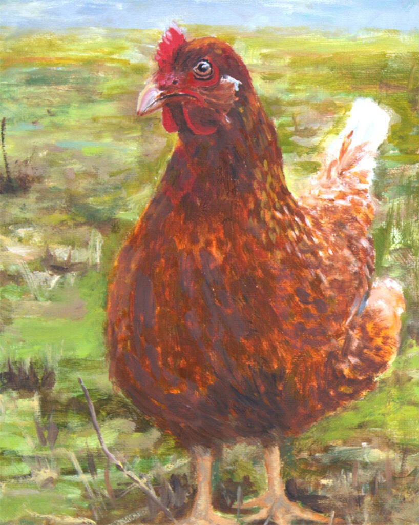 portrait of a hen